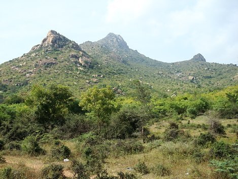 Arunachala Hill, Lord Shiva, Raman Maharshi