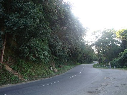 Road to Kaziranga National Park
